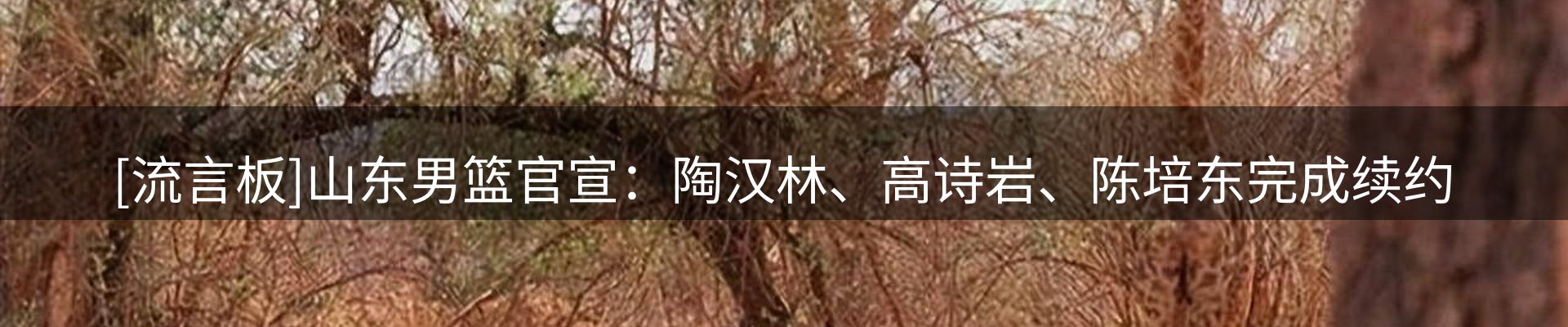 最新资讯